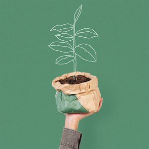 Agroecología
