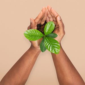 Biología Ambiental