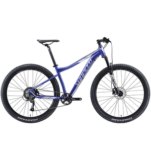 Bicicleta Sunpeed Rule Azul Plata Talla 17 Rin 29