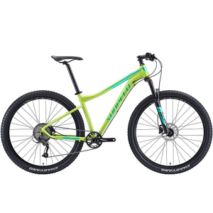 Bicicleta Sunpeed Rule Verde Talla 17 Rin 29