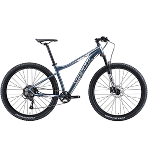 Bicicleta Sunpeed Rule Gris Plata Talla 17 Rin 27