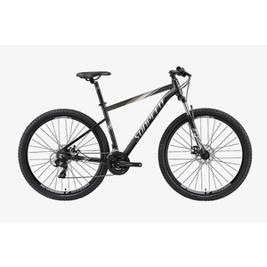 Bicicleta Sunpeed Zero Gris Plata Talla 21 Rin 29