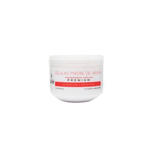 Tratamiento Capilar Lehit Celulas Madre Argan X 300G
