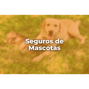 Seguro de Mascotas